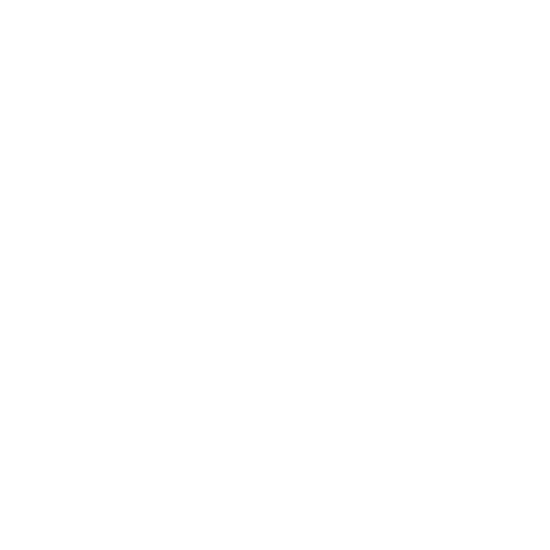 paramounttoolstore.com